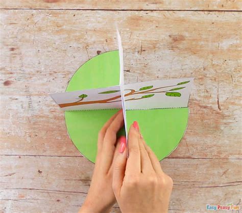 3d Butterfly Life Cycle Craft Easy Peasy And Fun