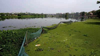 Water Crisis in India: How serious is India’s water crisis? | India ...