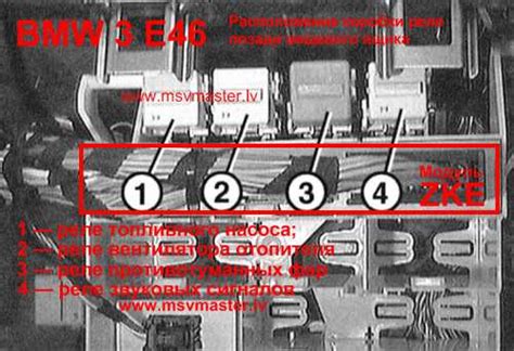 Understanding The Relay Diagram For Bmw E46