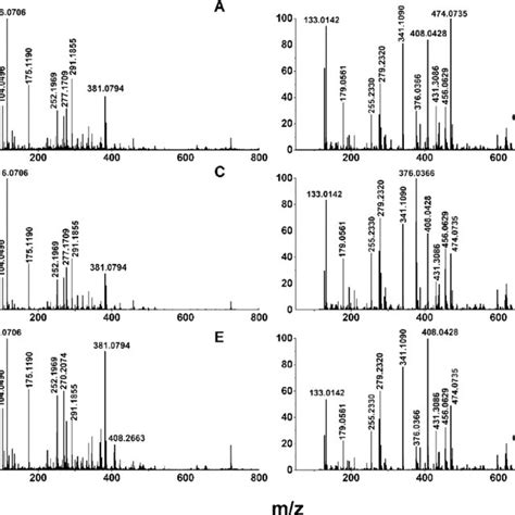 Esi Mass Spectra Of Ethanol Extracts Of Lijiang Samples A Sample 1