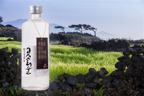 한 잔의 제주, 제주를 느끼는 제주술 3