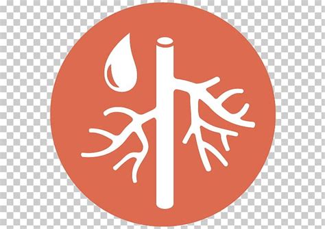 Hypertension Aortic Dissection Vascular Surgery Medicine Png Clipart