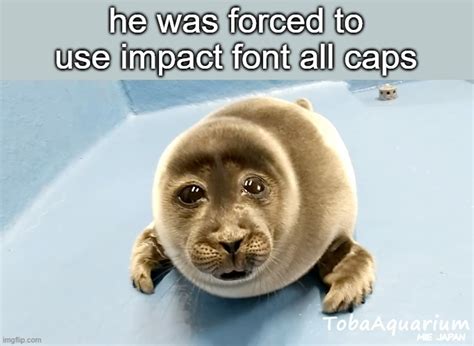 Crying Seal Imgflip