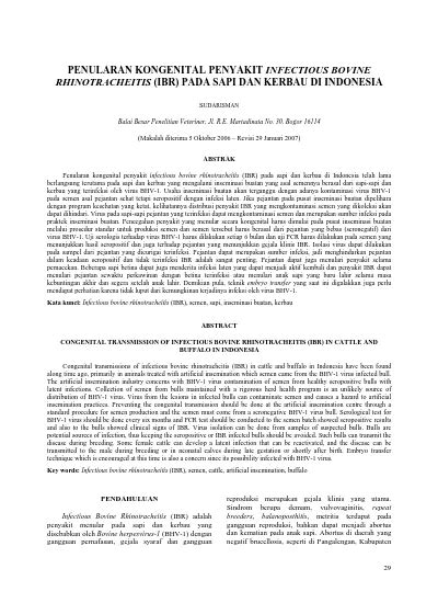 Penularan Kongenital Penyakit Infectious Bovine Rhinotracheitis Ibr