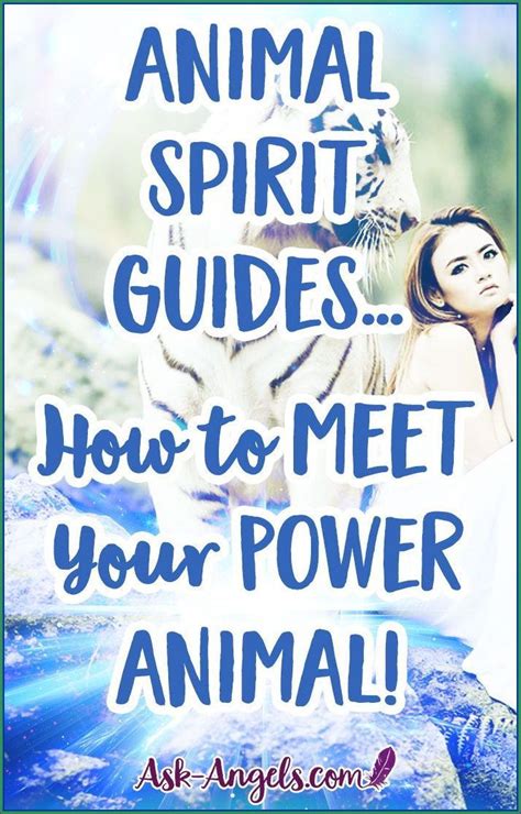 How To Find Out Your Animal Spirit Guides Artofit