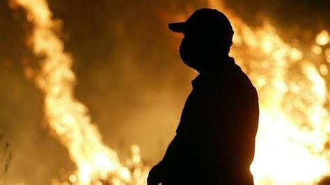 Bewohner evakuiert Wieder zahlreiche Waldbrände in Portugal