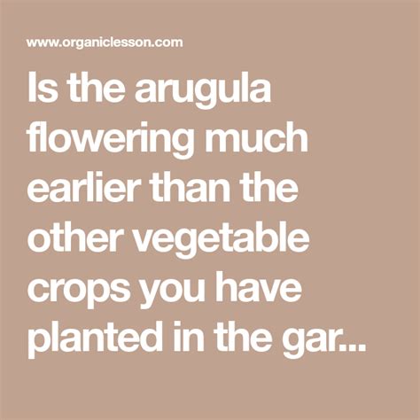 What to Do When the Arugula is Flowering Too Soon | Arugula, Flowers, Pollination