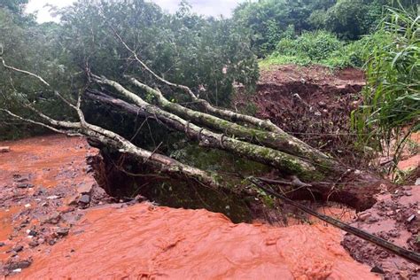 Chuva Abre Cratera Que Engole Via Derruba Rvores E Isola Moradores