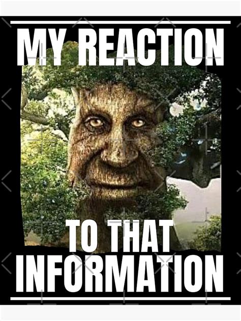 My Reaction To That Information Wise Mystical Tree Funny Meme