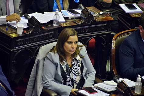 Diputados Carrizo Celebró La Media Sanción Del Proyecto Opositor De