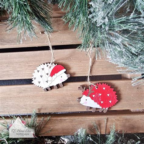 why is hedgehog making noise at home 4