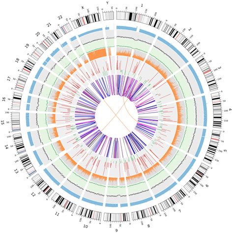 Whole Genome Sequencing Adntro