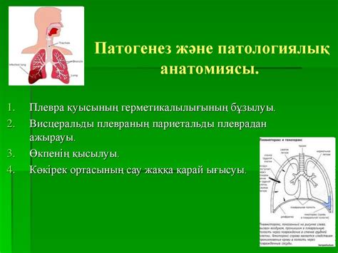 Спонтанды пневмоторакс - online presentation