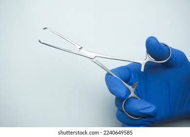 Doctor Wearing Blue Medical Gloves Holding Stock Photo