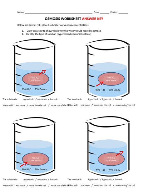 Osmosis Worksheet And Types Of Solutions Answer KEY 2 Name Studocu