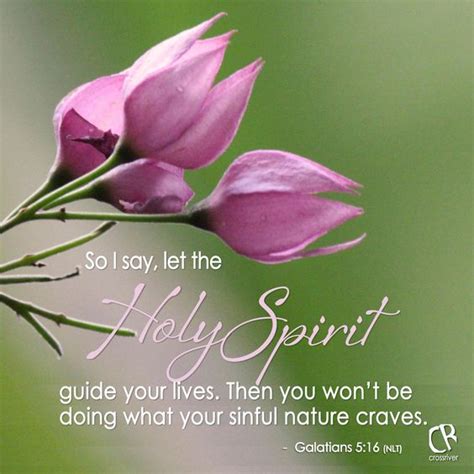 So I Say Let The Holy Spirit Guide Your Lives Then You Wont Be Doing