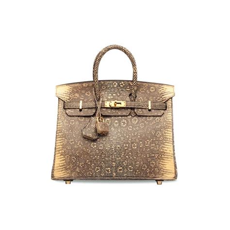 A Rare Shiny Ombr Salvator Lizard Birkin With Gold Hardware