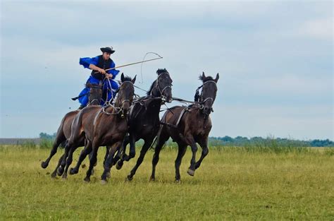 5 interesting things about the Hortobágy National Park - Daily News Hungary