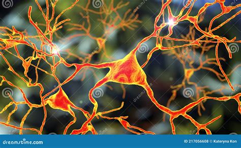 Neuronas C Lulas Cerebrales Ubicadas En La Ilustraci N D De Am Gdala