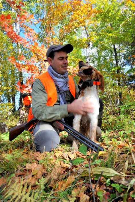 Chasse B Casse Petit Gros Gibier Au Qu Bec