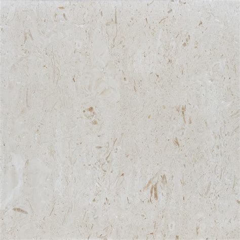 18x18 SHELL STONE Brushed Limestone TILE Stone Mart