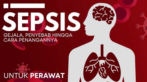 Perawat Mengenal Sepsis Gejala Penyebab Hingga Cara Penangannya