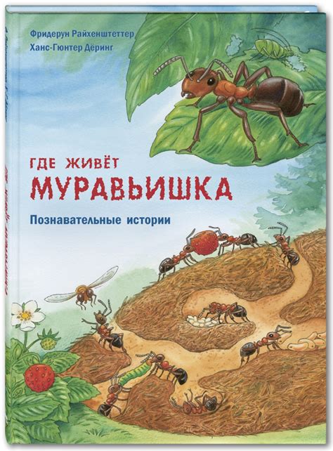Где живёт муравьишка. Познавательные истории (Райхенштеттер Фридерун ...