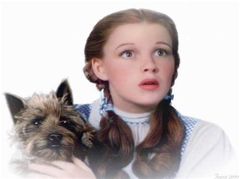 Dorothy and Toto 💕 - The Wizard of Oz Wallpaper (40278850) - Fanpop - Page 30