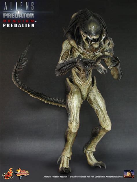 Hot Toys Predalien Alien Vs Predator AVP Scale Figure Hobbies Toys Toys Games On Carousell