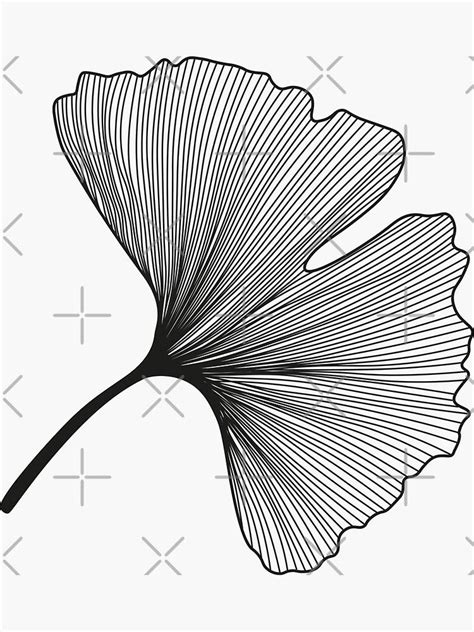 Ginkgo Biloba Leaves Pattern Black And White Sticker For Sale By