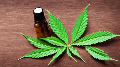 Comment Utiliser L Huile De Cbd Comparatif Cbd