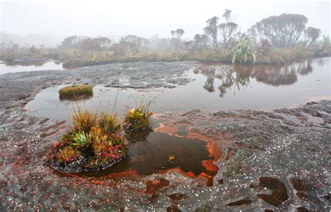 Explore Majestic Mount Roraima