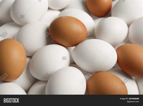 Fresh Raw Chicken Eggs Image Photo Free Trial Bigstock