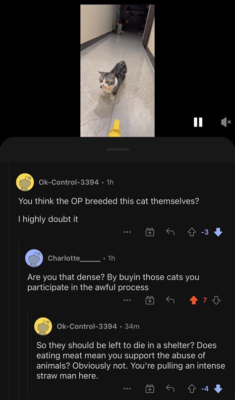 Munchkin kitten farms vs the meat industry : r/SelfAwarewolves