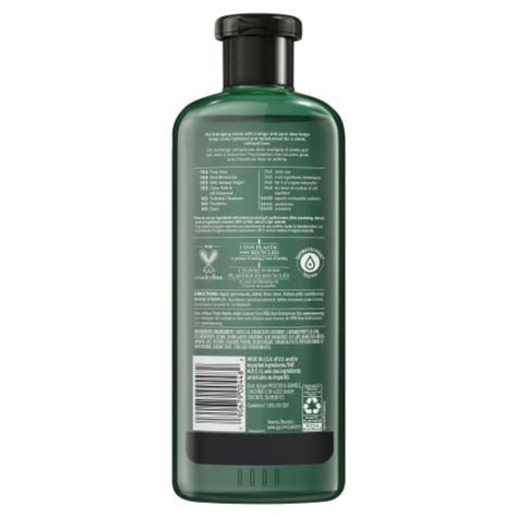 Herbal Essences Biorenew Mango Potent Aloe Curl Definer Sulfate Free Shampoo 135 Fl Oz