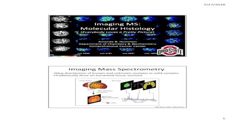 Pdf Imaging Ms Molecular Histology · Molecular Histology Everybody Loves A Pretty Picture