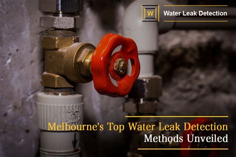 Melbournes Top Water Leak Detection Expert Methods Unveiled