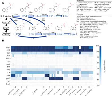 Frontiers Uncovering The Specificity And Predictability Of Tryptophan