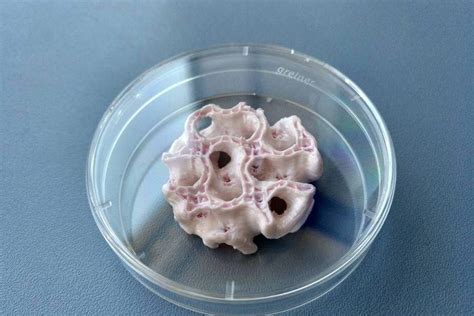 Scaffold for Tissue Engineering Bone and Cartilage