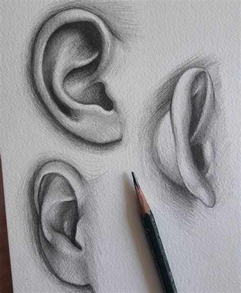 Ear drawing | Art drawings sketches simple, Drawing tutorial, Art drawings