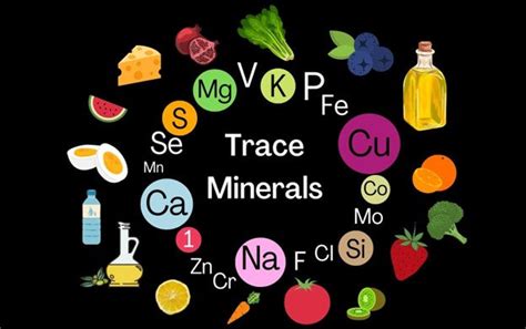 Load Up On Trace Minerals — Theyre Essential To Avoid Weak Bones A