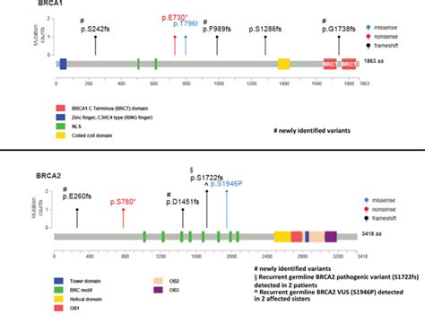 Prevalence And Clinical Significance Of Brca12 Germline And Somatic Mutations In Taiwanese