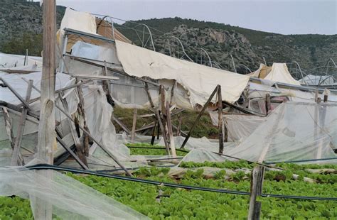 Maltempo Imprese Agricole E Artigiane In Ginocchio Nel Sud Pontino