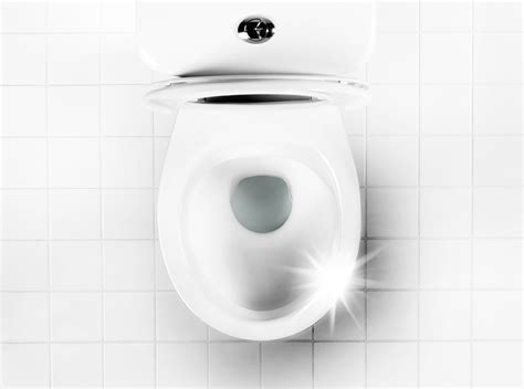 How To Clean A Toilet Woman Home