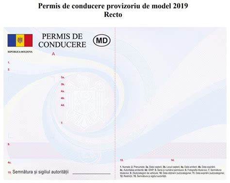 Doc Aprobat De Guvern Un Nou Model De Permis De Conducere Din 2020