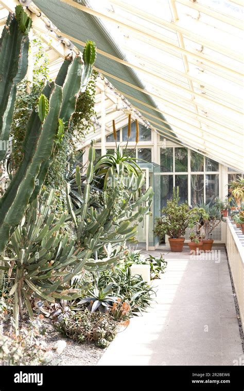 The Cactus And Succulent Glasshouse At The National Botanic Gardens In