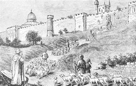 Wall in Jerusalem - The Sheep Gate - Free Stock Illustrations | Creazilla