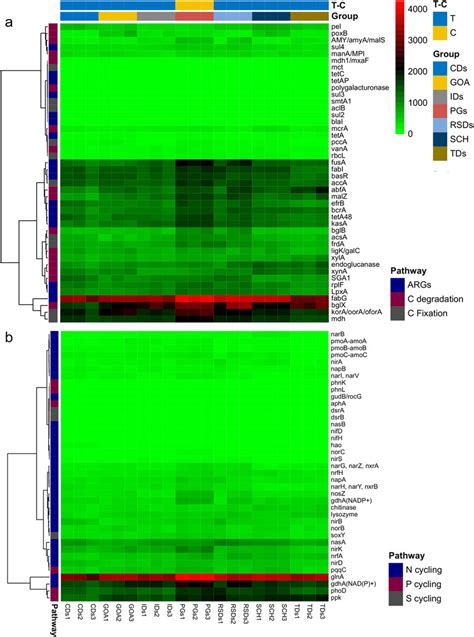 Heat Maps Of Functional Gene Abundance Of Major Microbial Communities Download Scientific