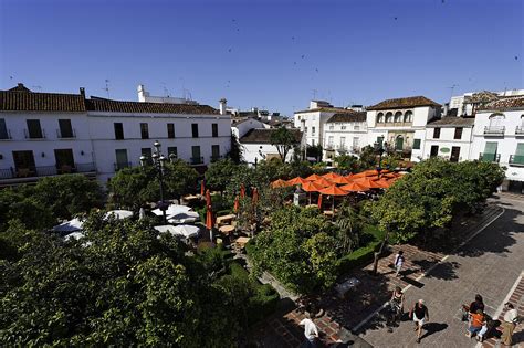 View Over Plaza De Los Naranjos Old License Image