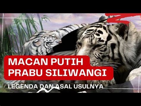 Legenda Dan Asal Usul Macan Putih Prabu Siliwangi Raja Pajajaran